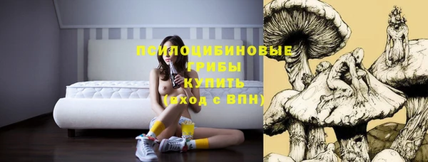 прущие крисы Новый Уренгой